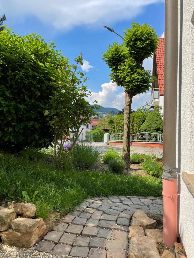 Ferienwohnung Wanderlust Klingenmuenster Luaran gambar